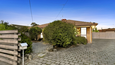 Picture of 3 Cranley Court, GROVEDALE VIC 3216