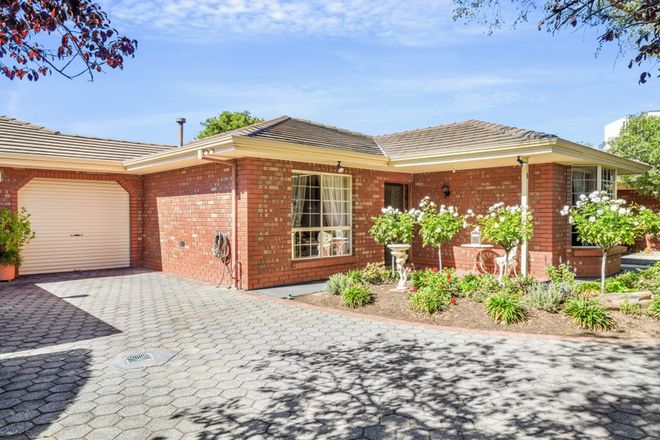 Picture of 6/3 Galway Avenue, COLLINSWOOD SA 5081