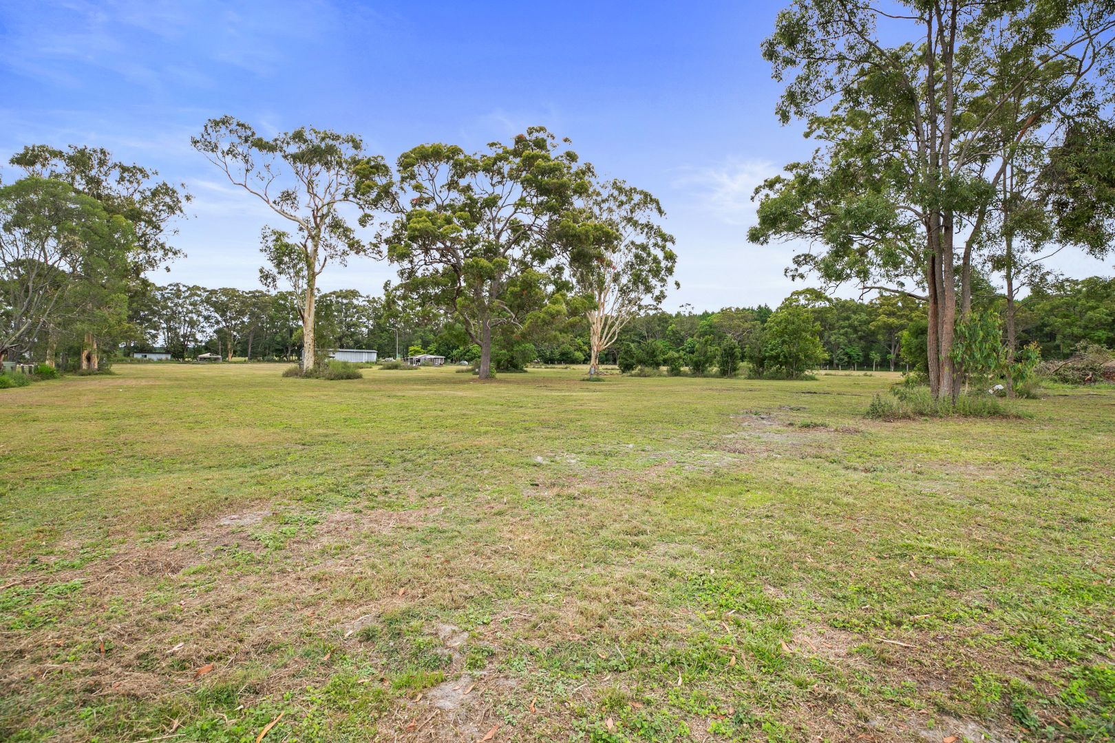 81 Osborne Court, Wallu QLD 4570 Domain