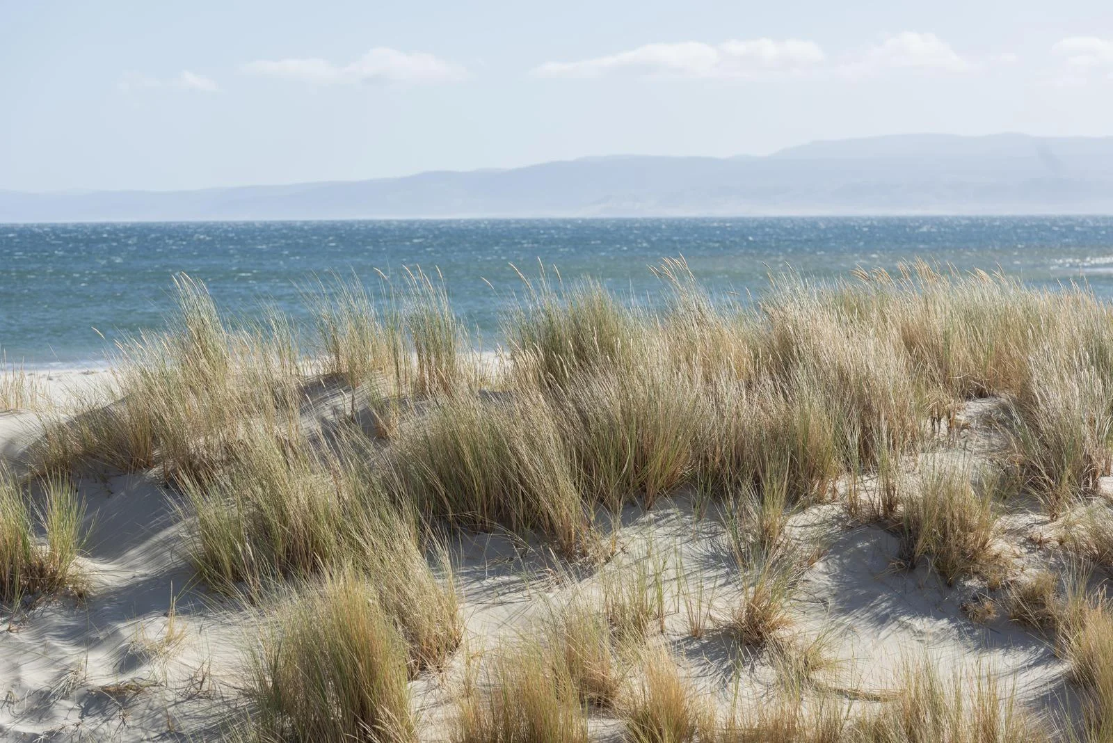 Additional image 31 of 144 Swanwick Drive, Coles Bay TAS 7215