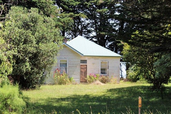Picture of 99 Boggy Creek Road, CURDIEVALE VIC 3268