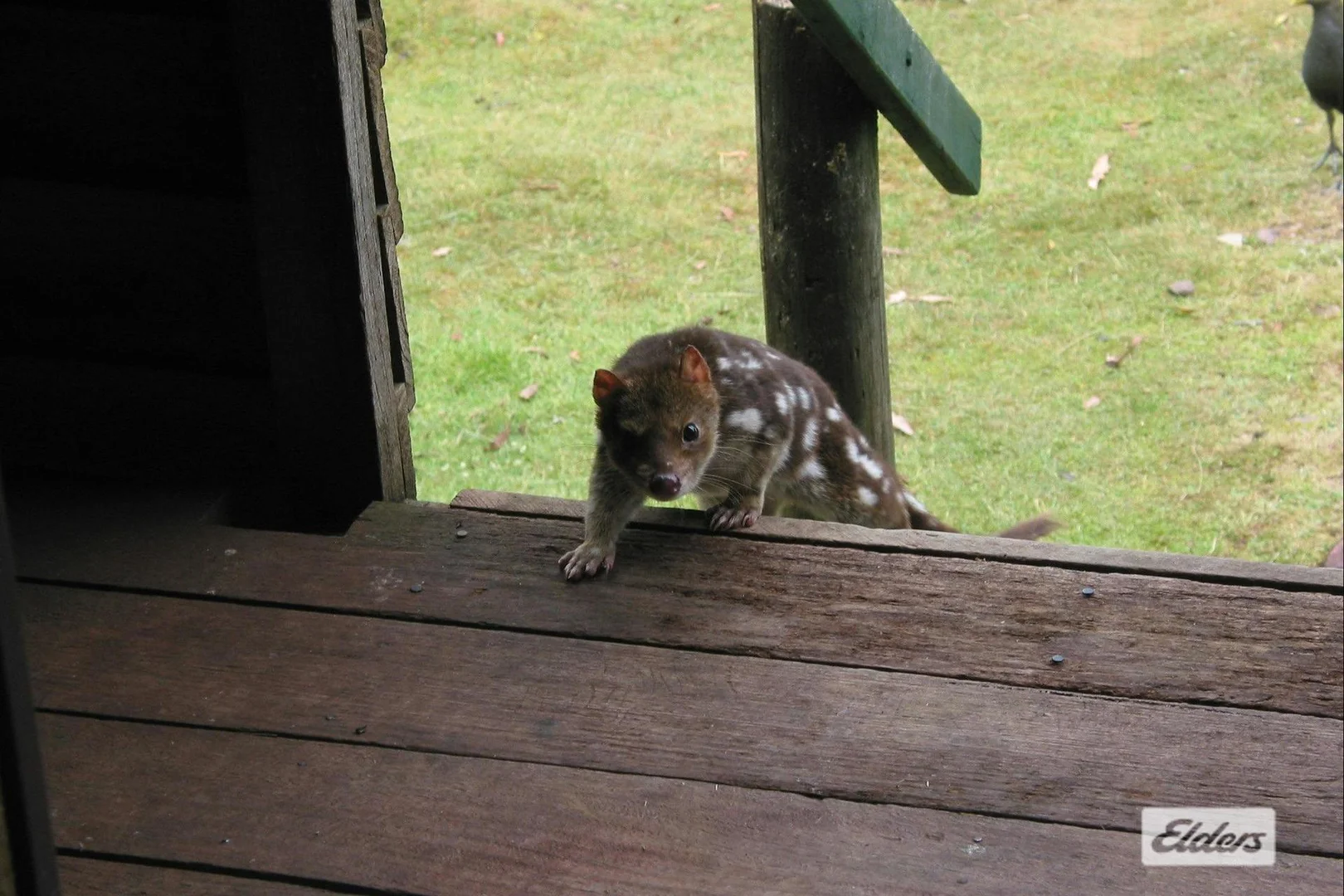 Additional image 27 of 1519 Loongana Road, Loongana TAS 7315