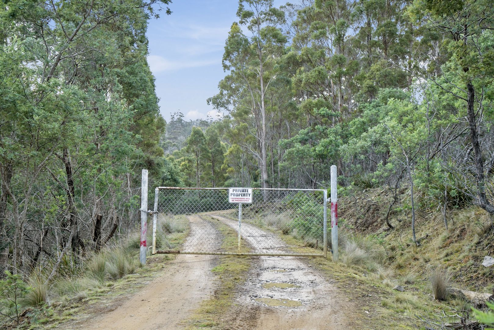 Lot 2 Stonehenge Road, Stonehenge TAS 7120, Image 1