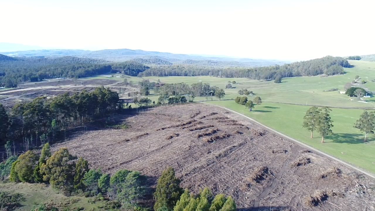 Priestleys Lane, Frankford TAS 7275, Image 0