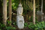 Image 32