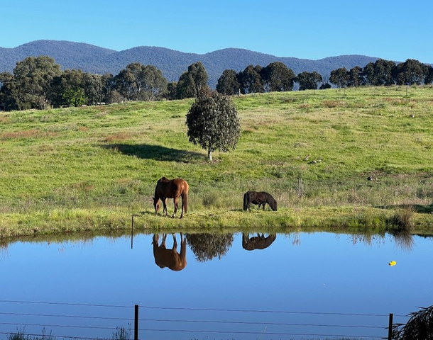 59 Sandy Creek Road, Barjarg VIC 3723