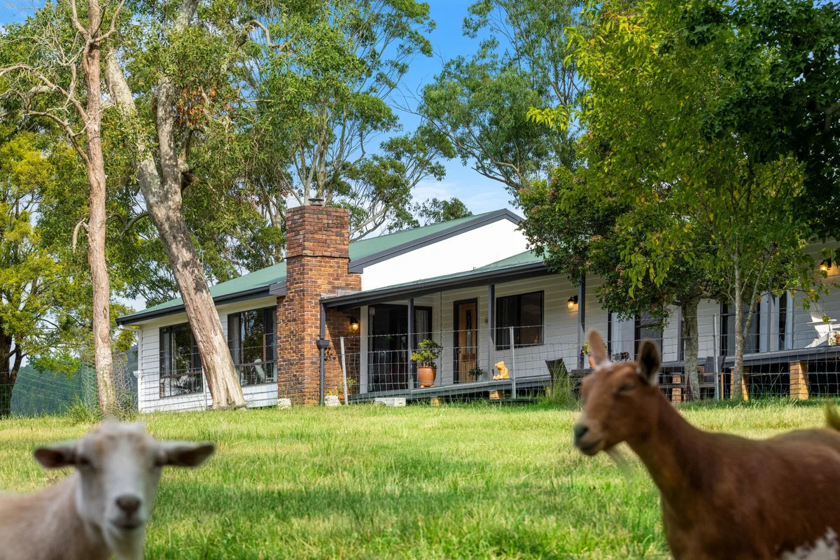 Additional image 5 of 68 Peacock Creek Road, Bonalbo NSW 2469