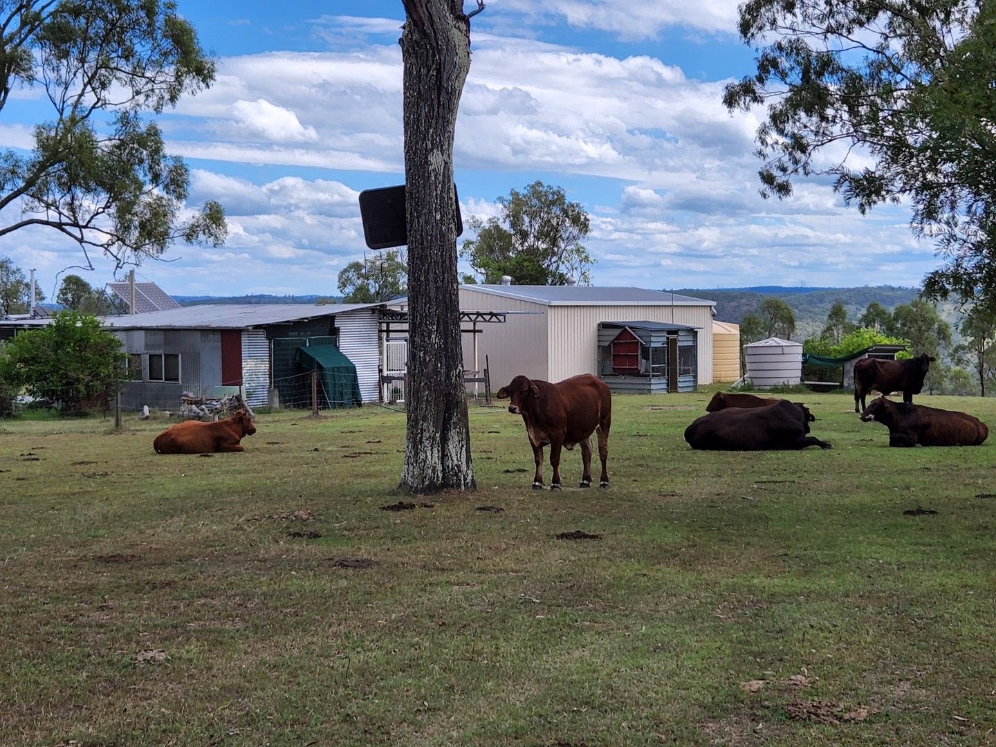 62 Wild Deer Drive, Blackbutt QLD 4314, Image 1