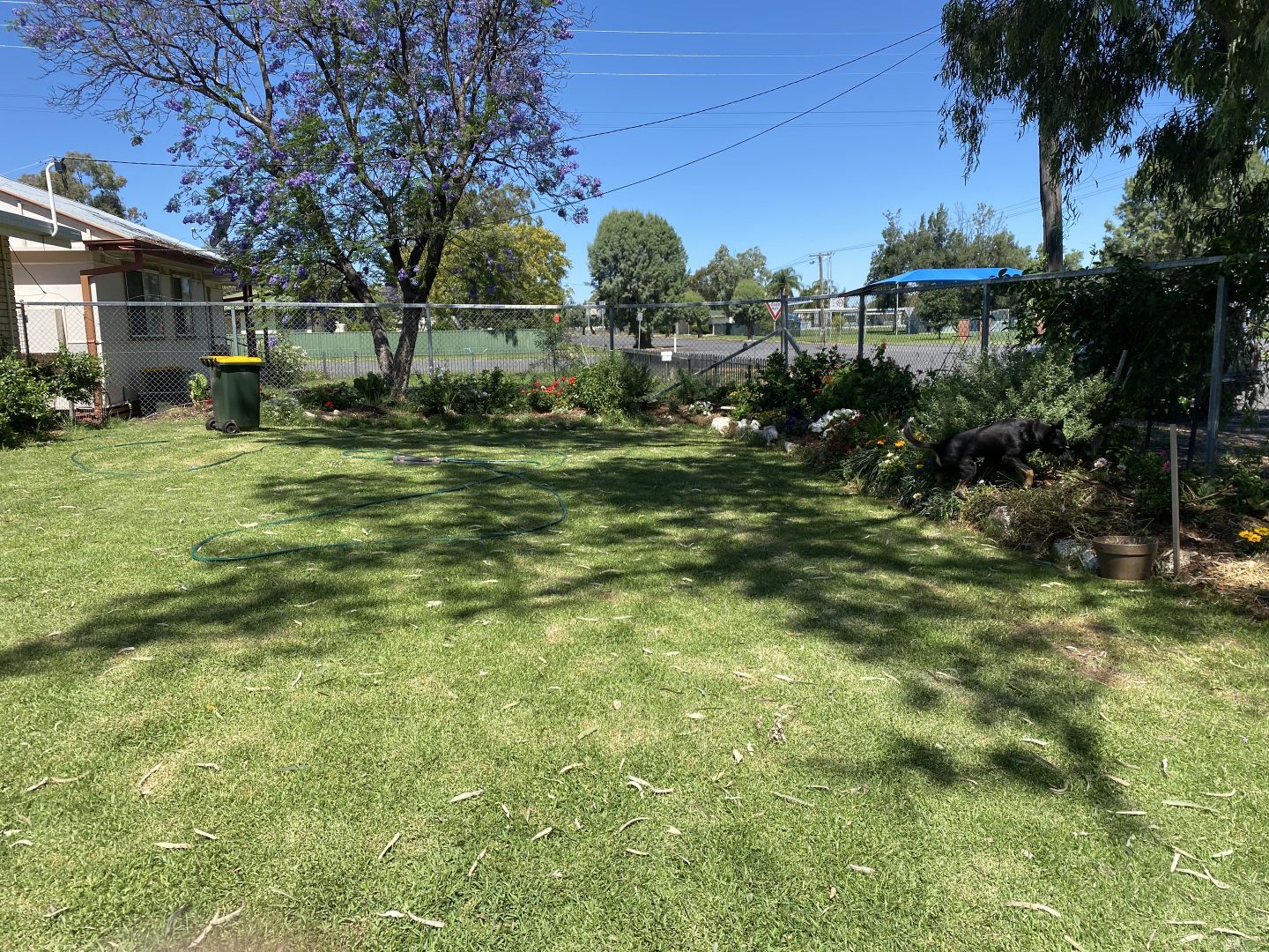 75 BUCKNELL, Mungindi NSW 2406 Domain