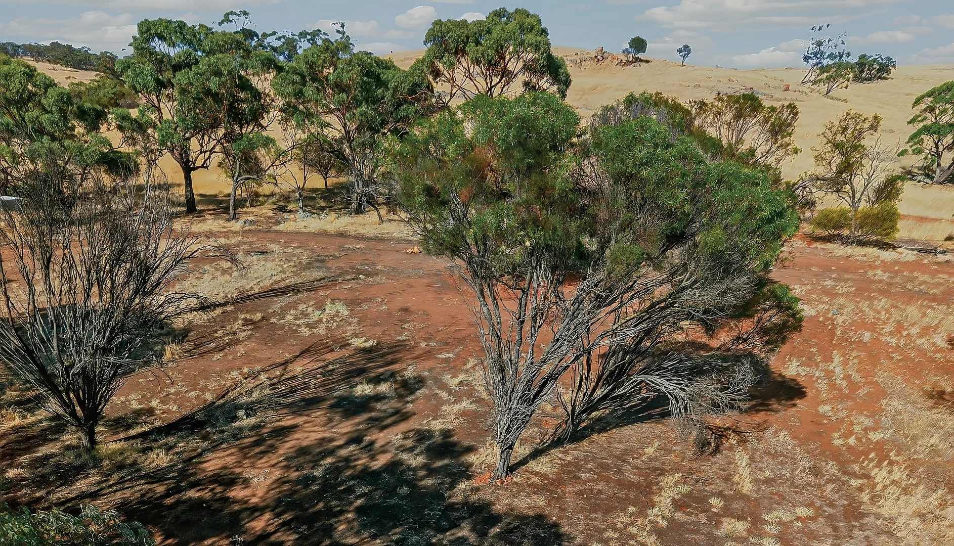 Additional image 30 of 107 Julimar Road, Toodyay WA 6566