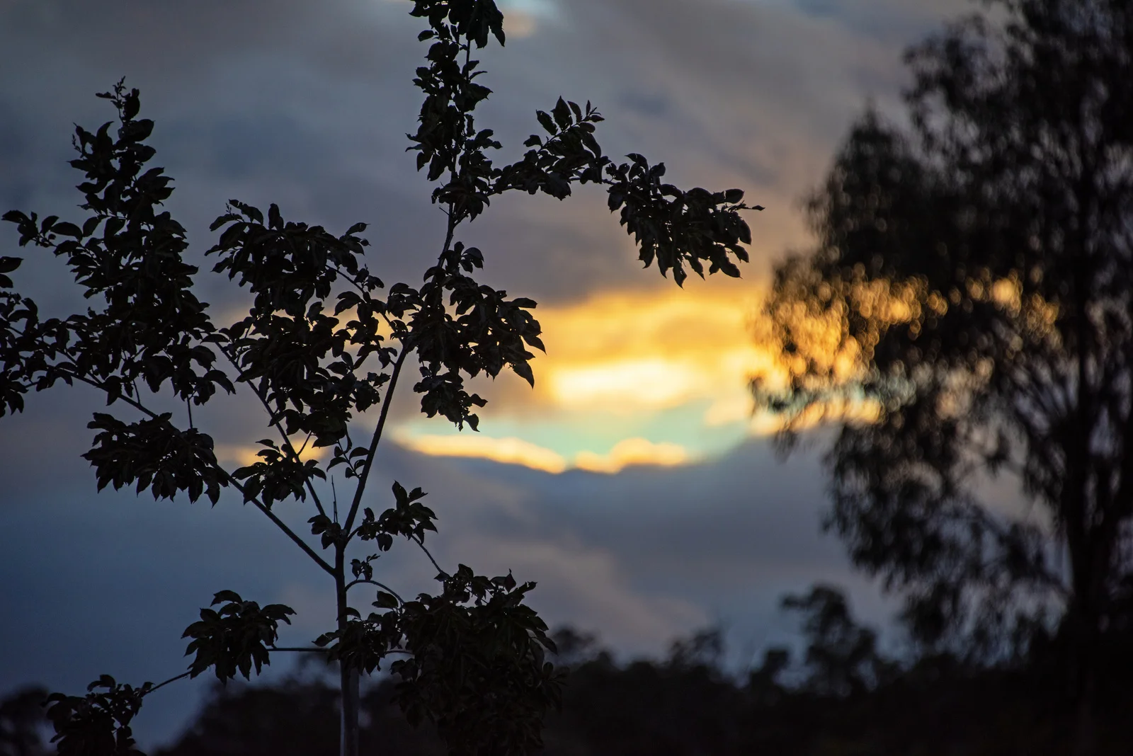 Additional image 18 of 5 Aberdeen Court, Tyers VIC 3844