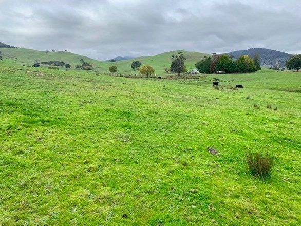 309 Tallangatta Creek Rd, Tallangatta Valley VIC 3701, Image 1