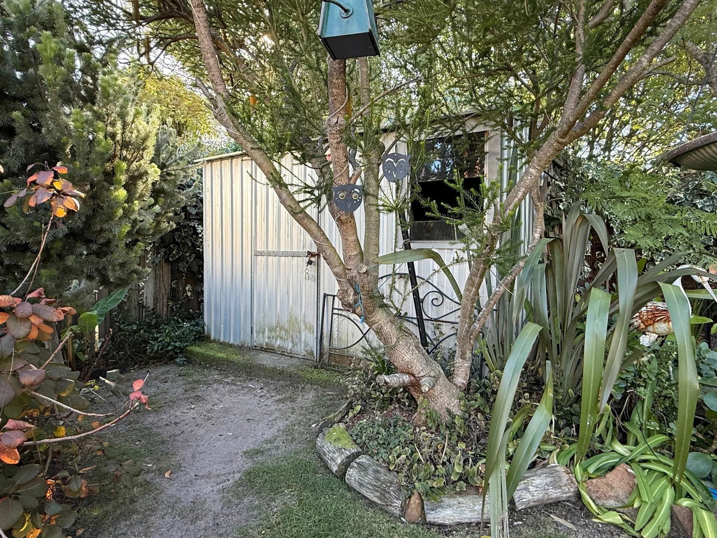 Image 15