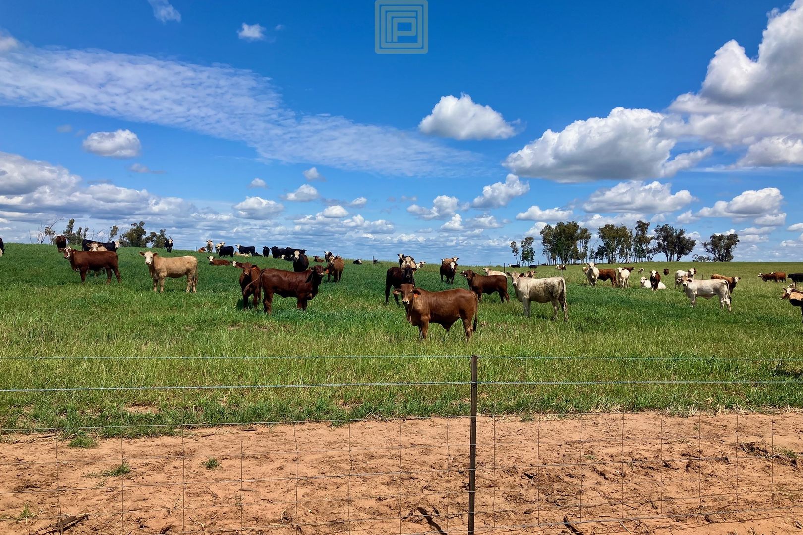 746 Mellburra Road, Narrabri NSW 2390, Image 2