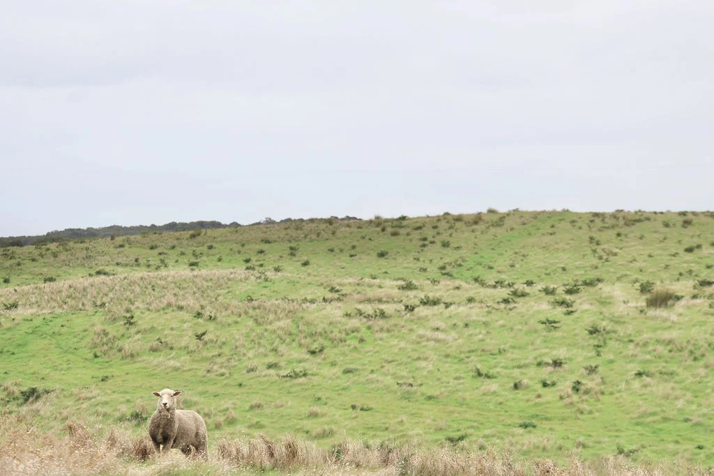 Image 18