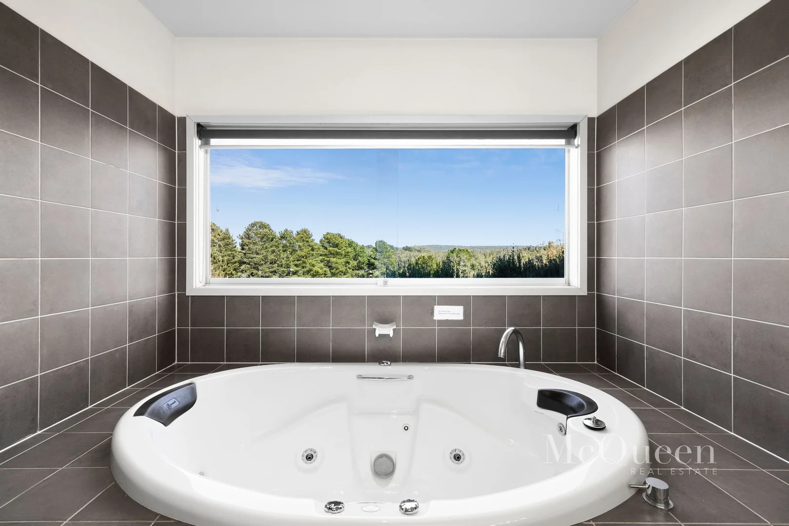 Image 14