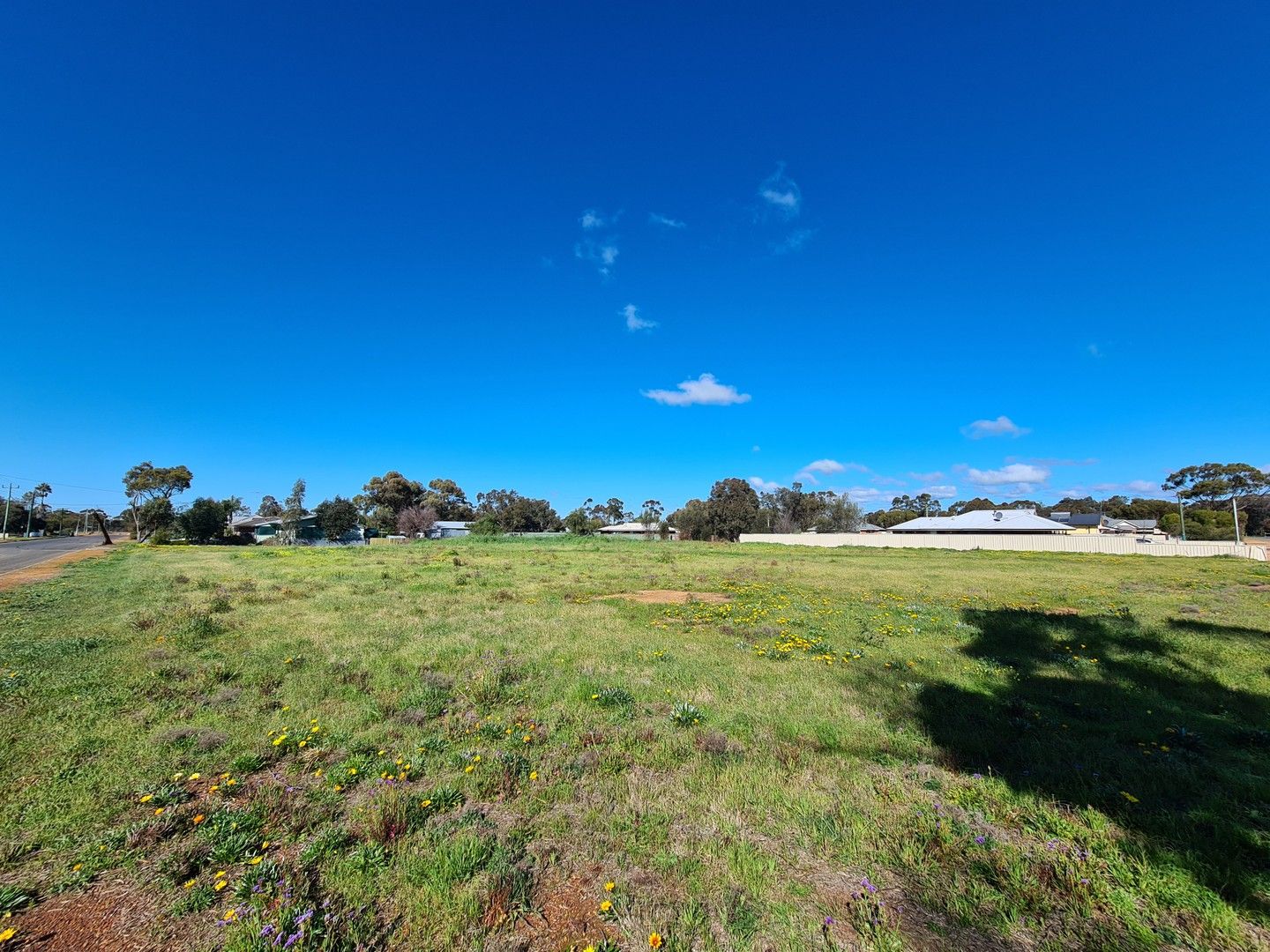 Vacant land in 50 Piesse  Street, KATANNING WA, 6317