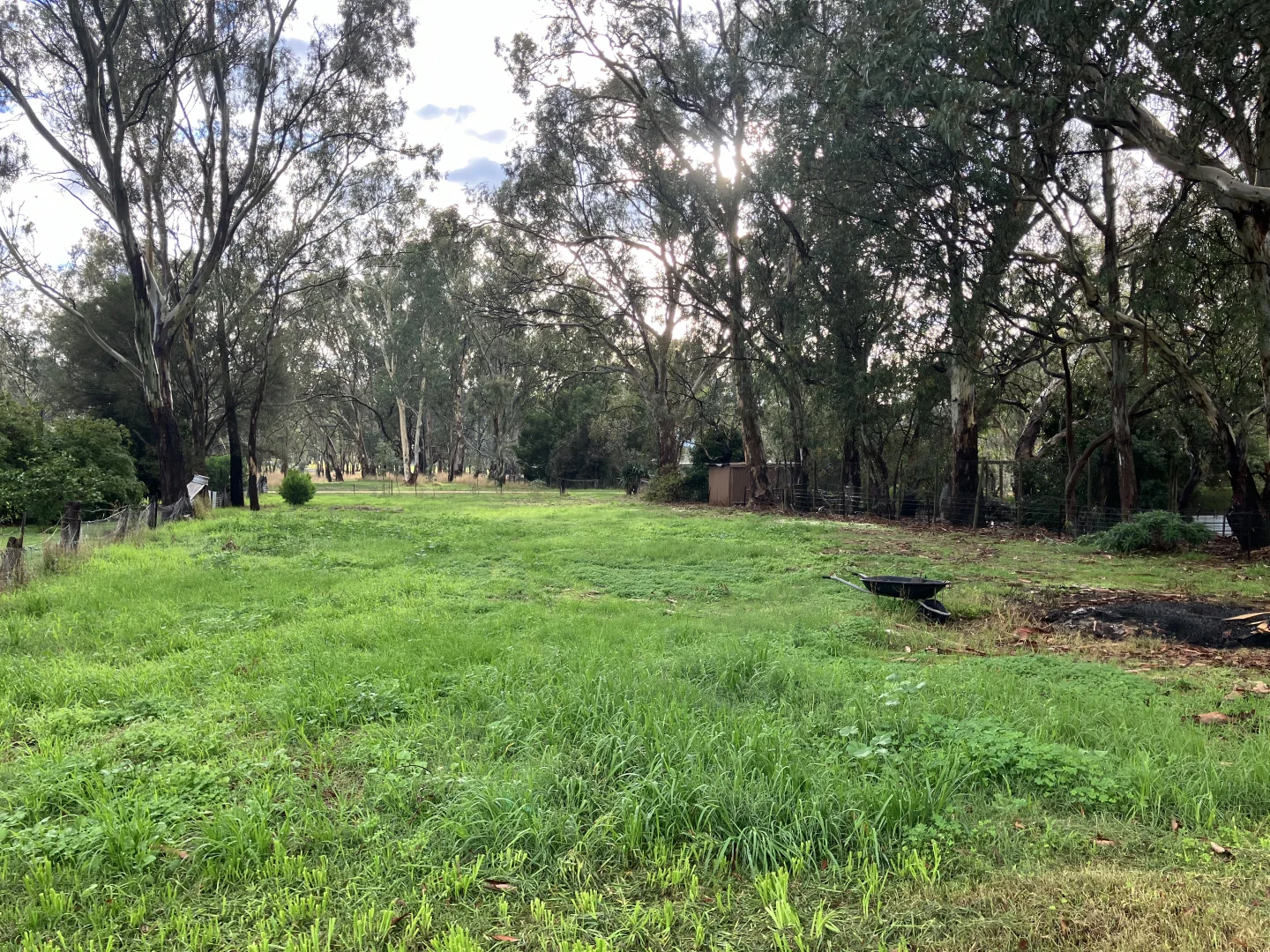 Image 12