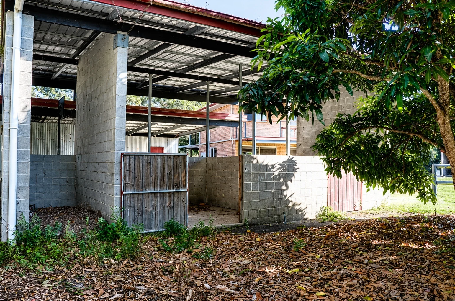 Image 31