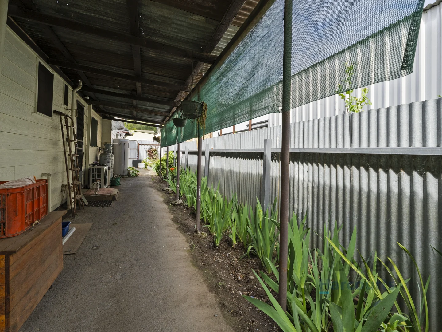 Image 12