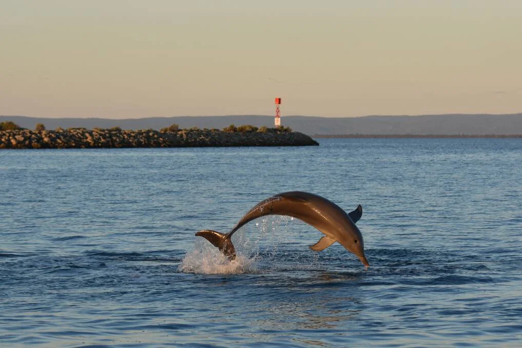 Additional image 29 of Dawesville WA 6211