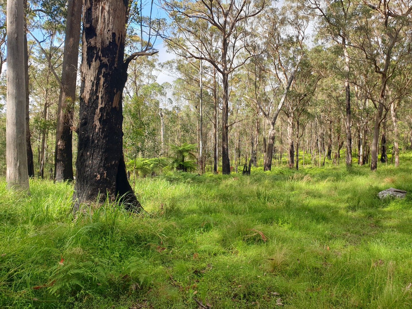 . Lands End Road,, Kingsgate NSW 2370, Image 1