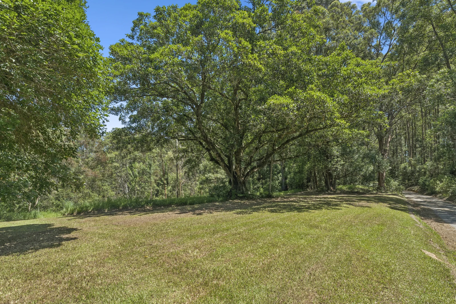 Image 29
