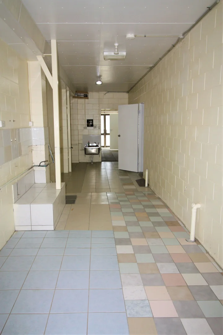Image 10