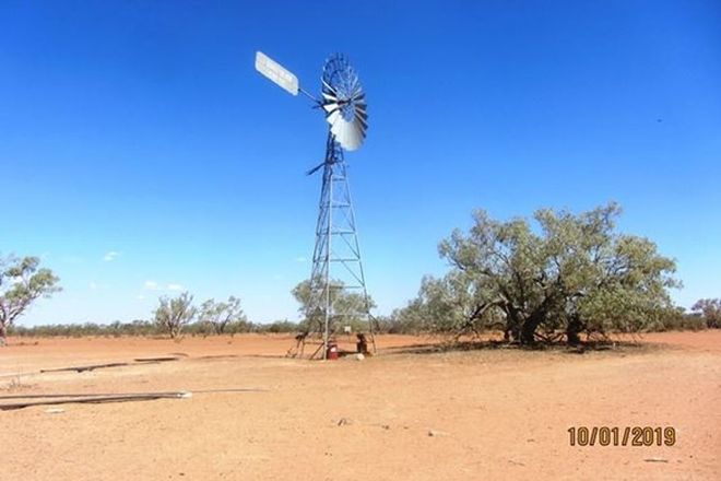 Picture of * Dunoak, TILPA NSW 2840