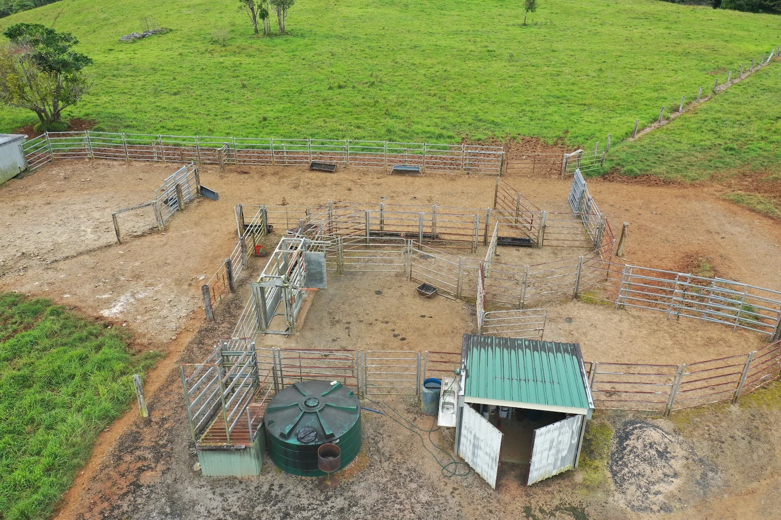 Image 13