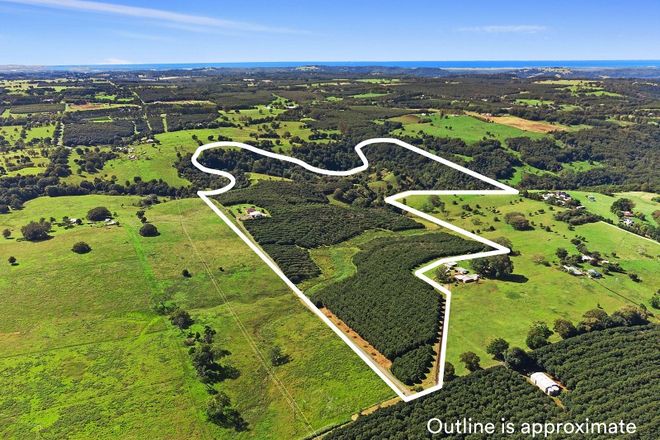 Picture of 28 Mollys Grass Road, TREGEAGLE NSW 2480