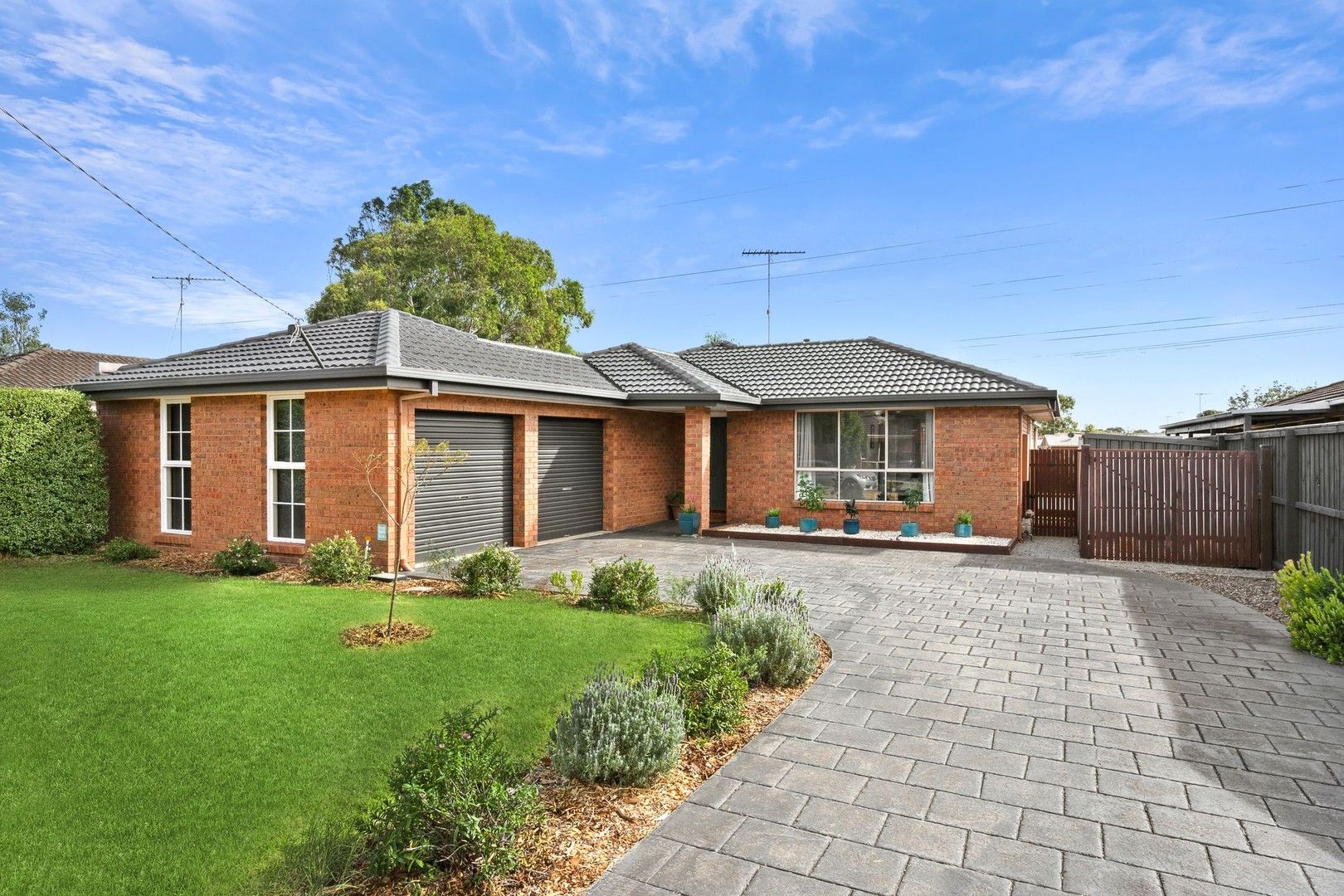 54 Greenville Drive, Grovedale VIC 3216, Image 0