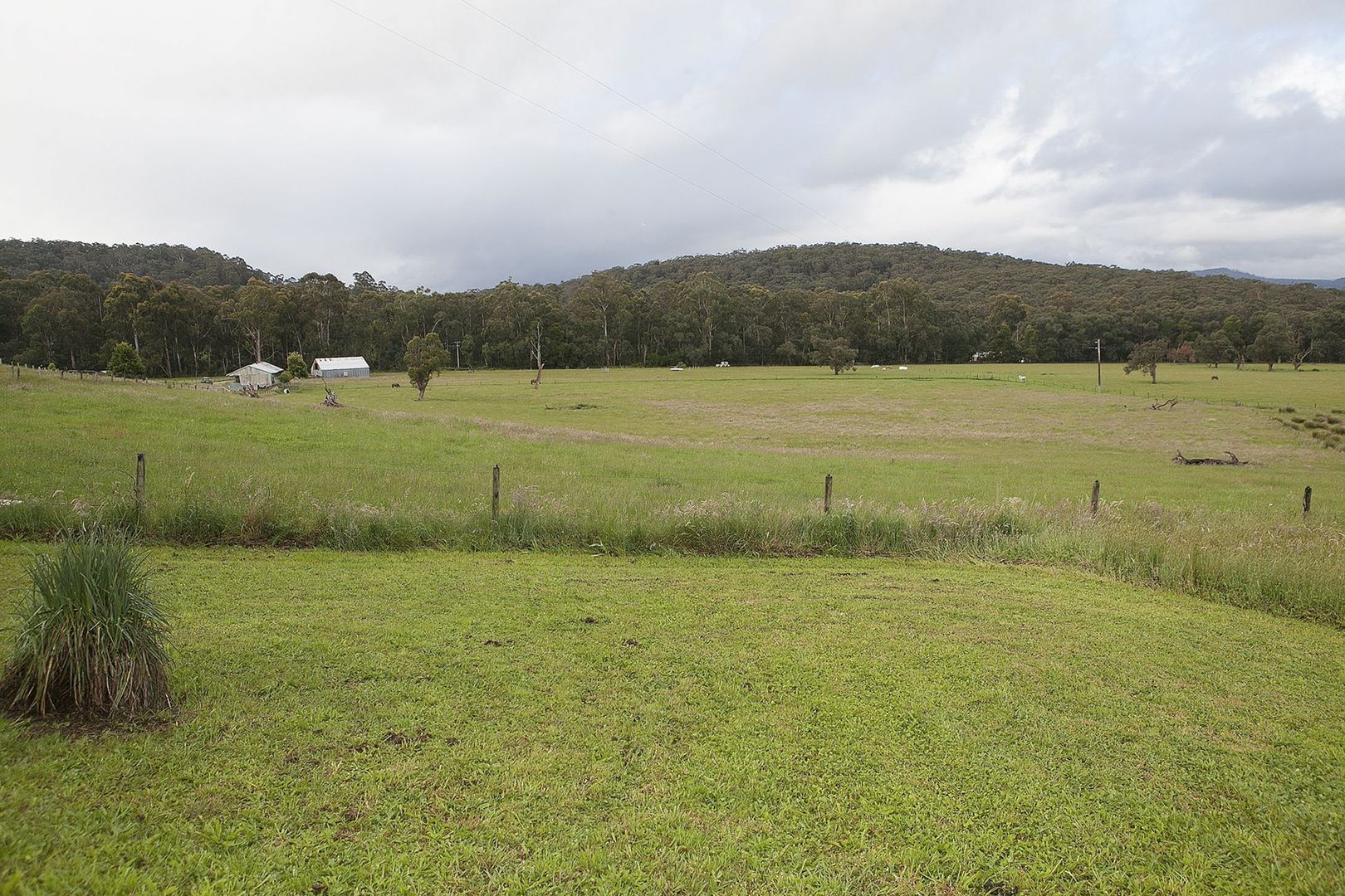 lot 1, 175 Bridal Road, Tonimbuk VIC 3815, Image 1