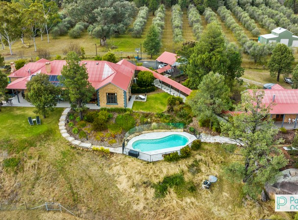 136 Woonooka Road, Daruka NSW 2340