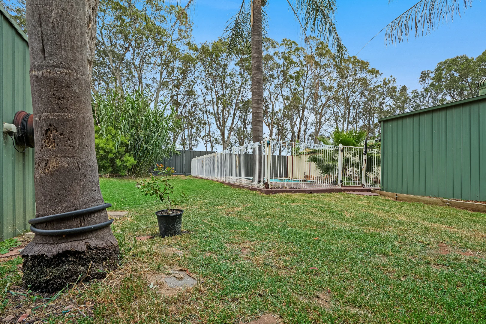 643 Andrews Road, Andrews Farm SA 5114 | Domain