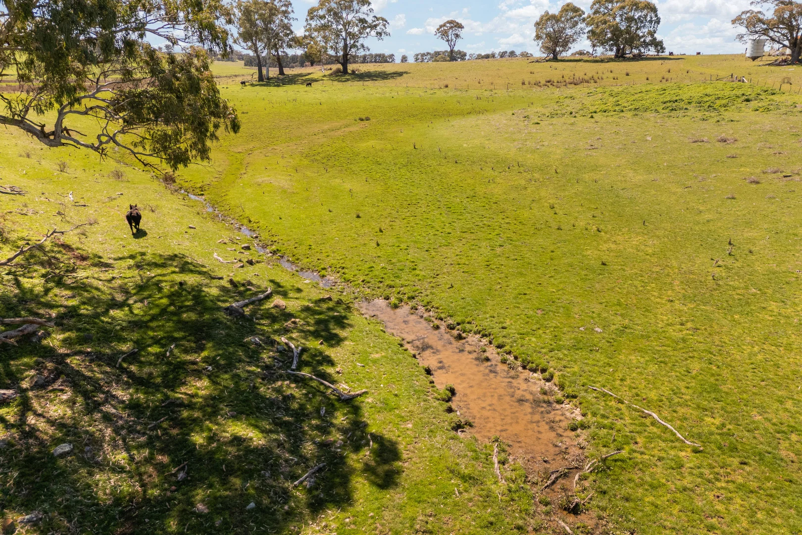 Additional image 9 of Millthorpe NSW 2798