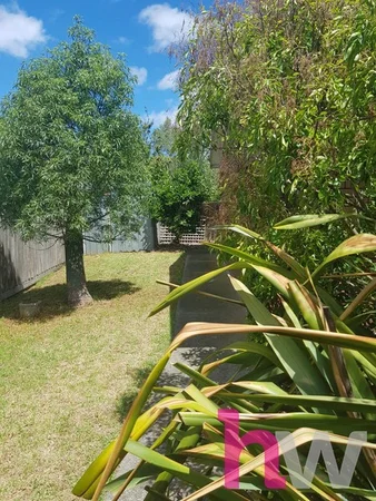 Image 30