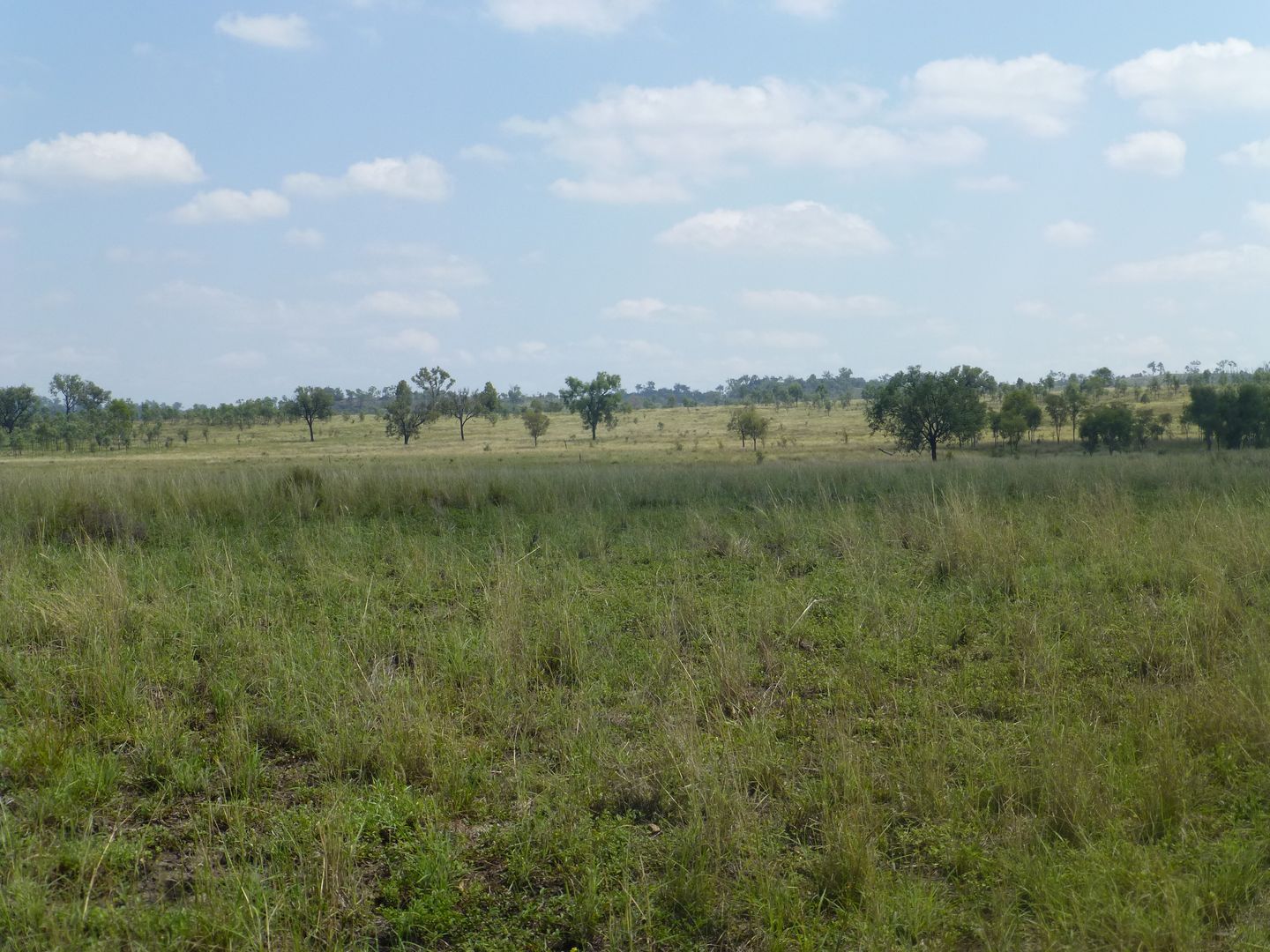 Gayndah QLD 4625, Image 1