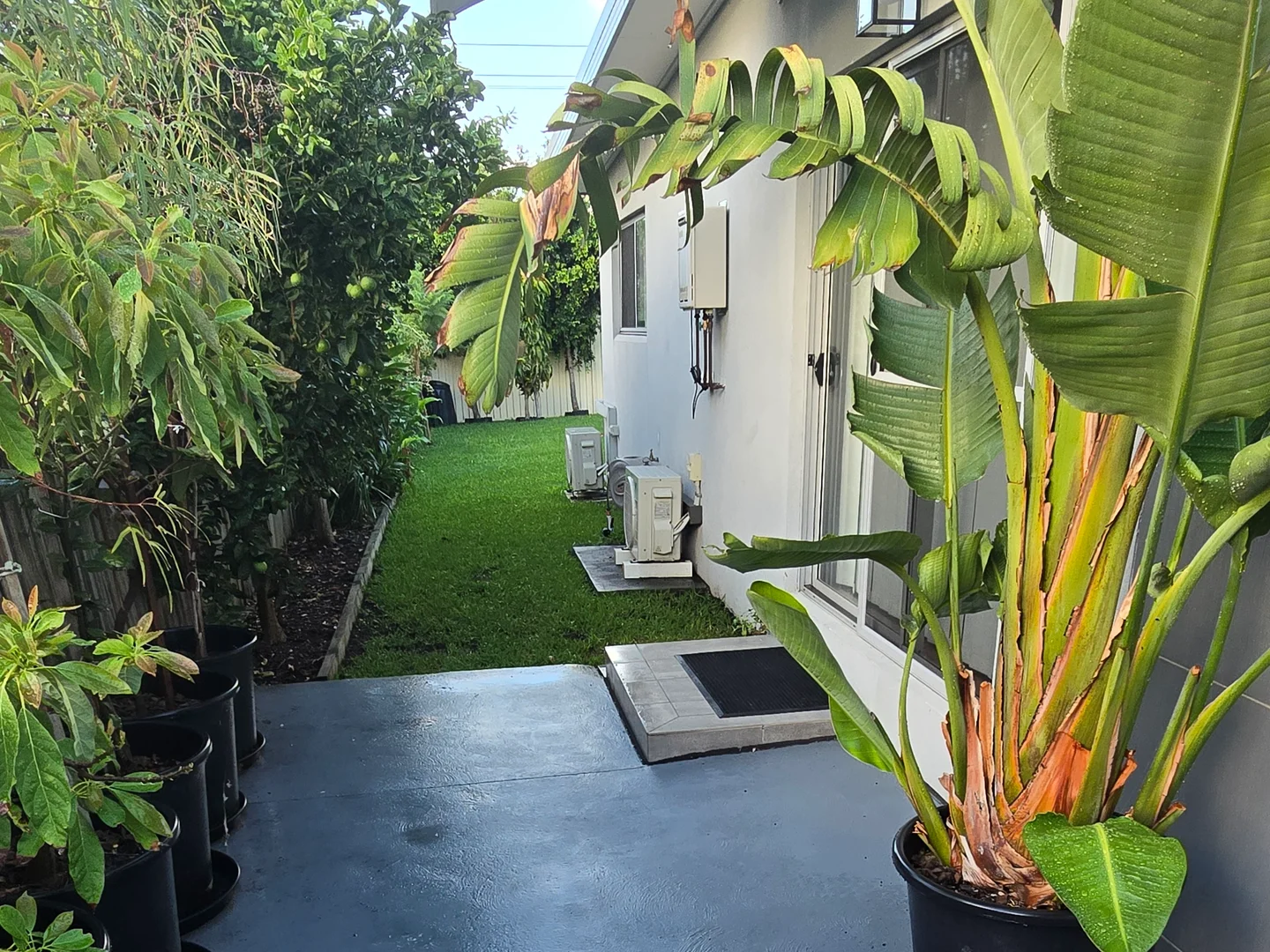 Additional image 12 of 7 Alt Street, Smithfield NSW 2164