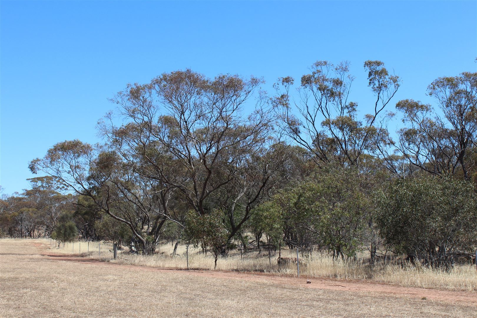 50 Gnowangerup Broomehill Road, Gnowangerup WA 6335, Image 1