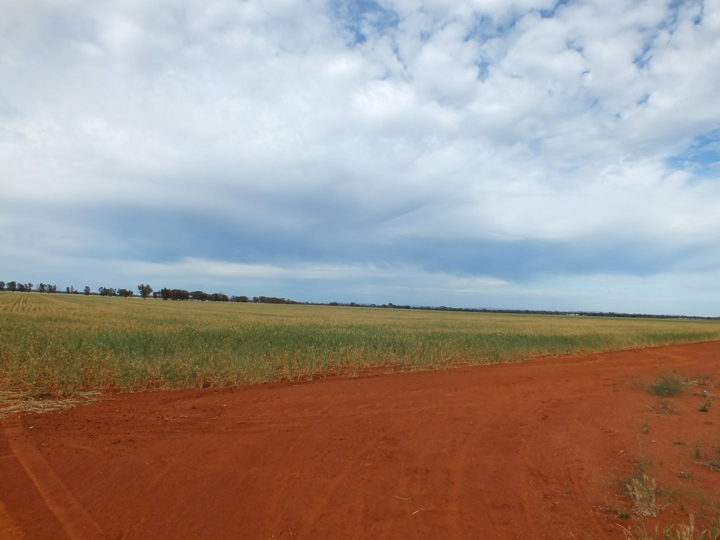 "Gunbar" Judds Lane, Weethalle NSW 2669, Image 2