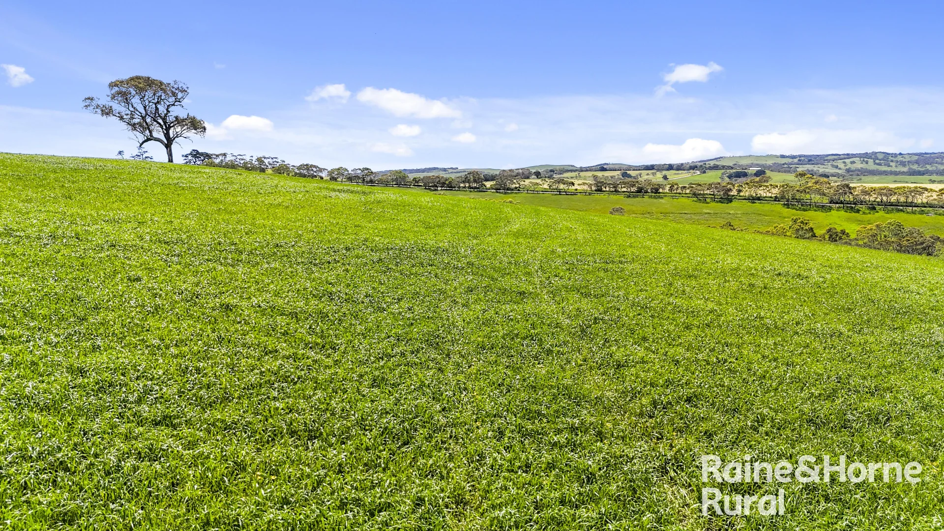 Additional image 17 of 25 Nosworthy Road, Inman Valley SA 5211