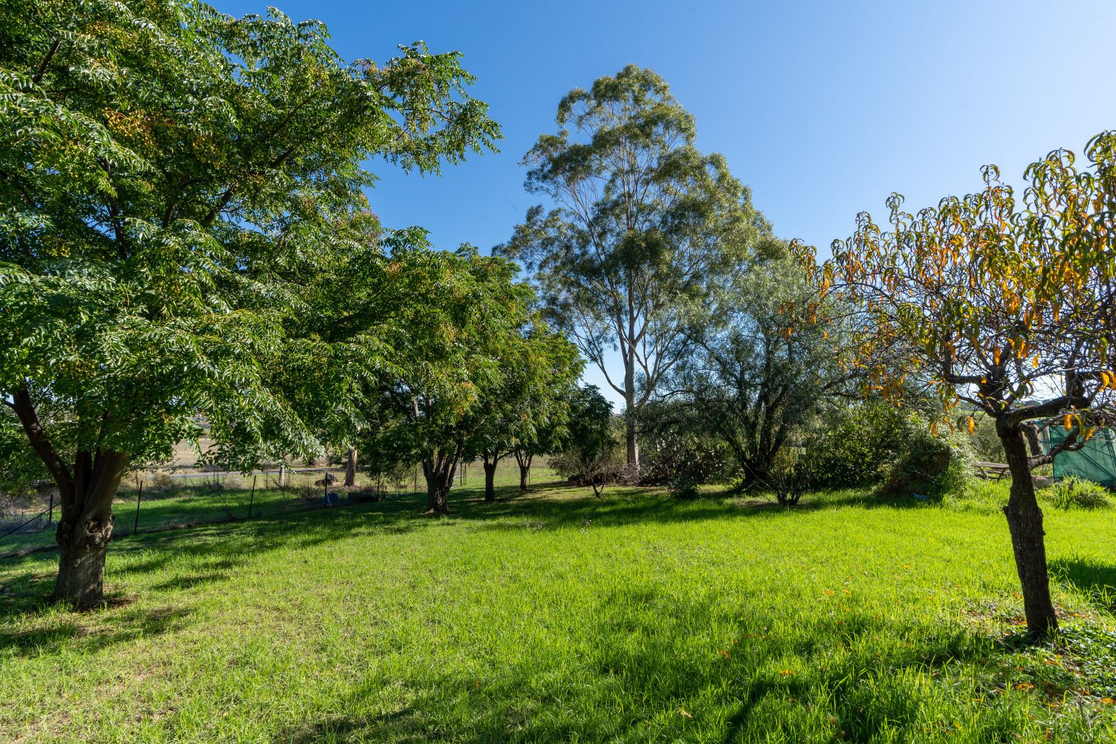 'Valley View' 198 Quarry Road (Moorbel), Canowindra NSW 2804, Image 1