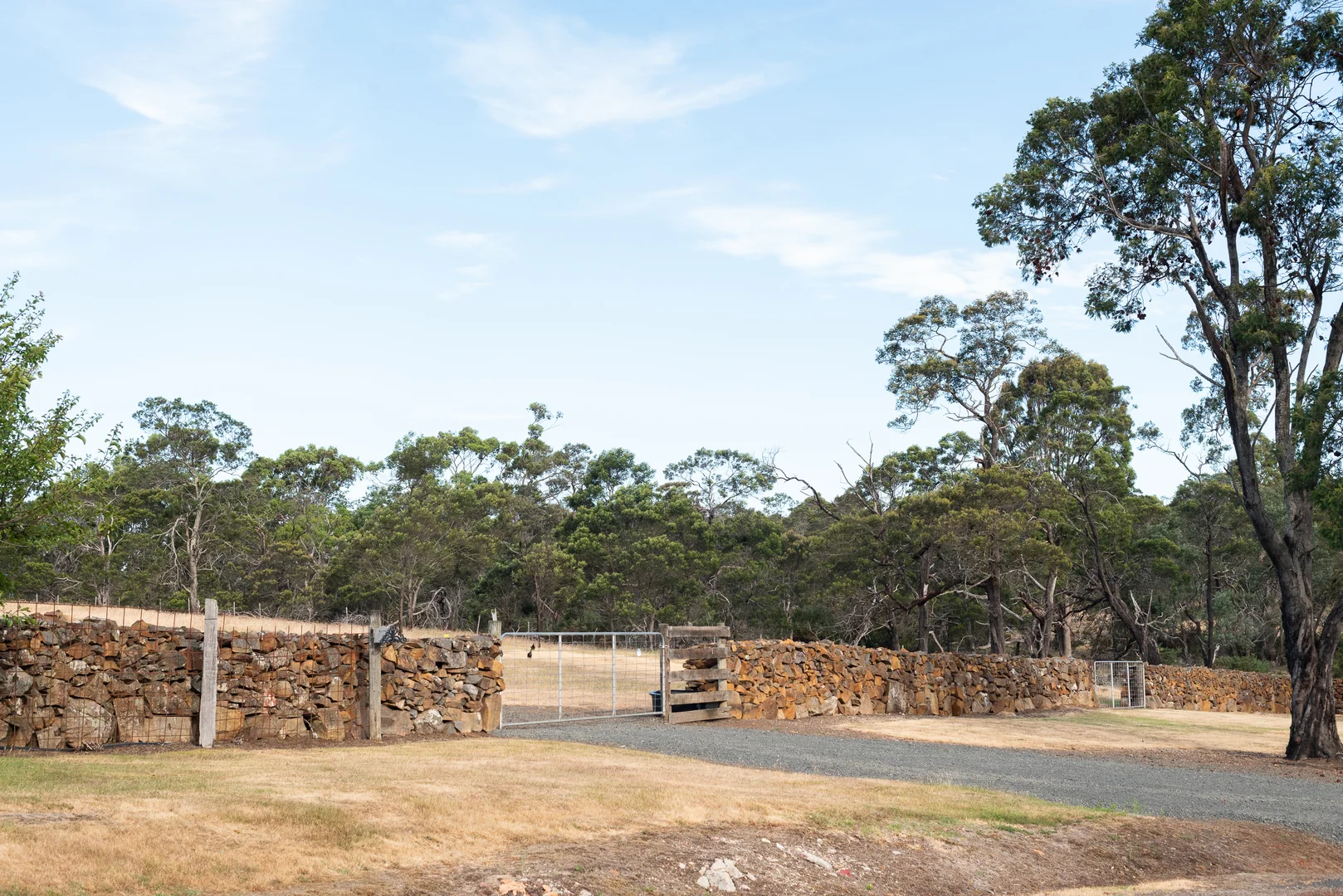 Image 21