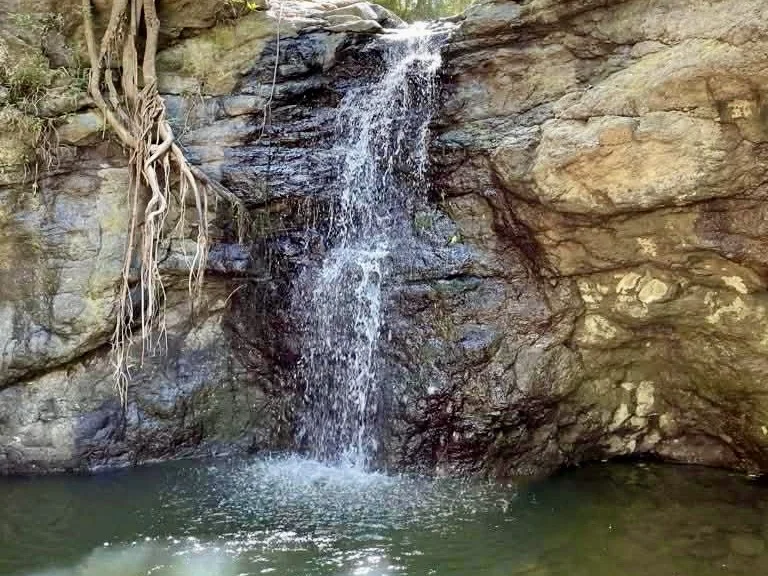 Additional image 27 of 462 Hunchy Road, Hunchy QLD 4555