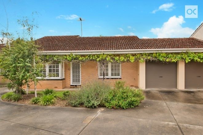 Picture of 3/427 Kensington Road, ROSSLYN PARK SA 5072