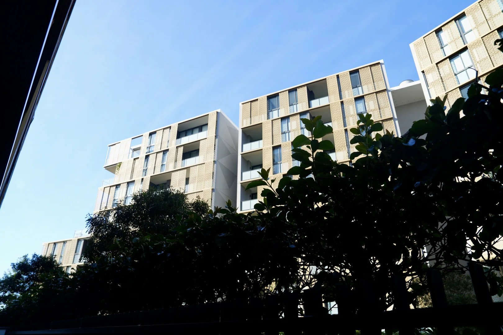 Image 13