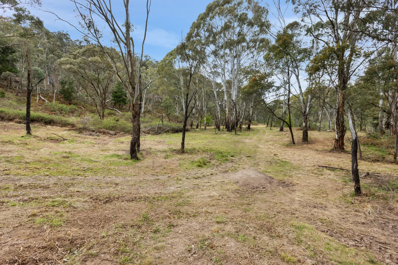 Large Acreage Bush Block - View 3