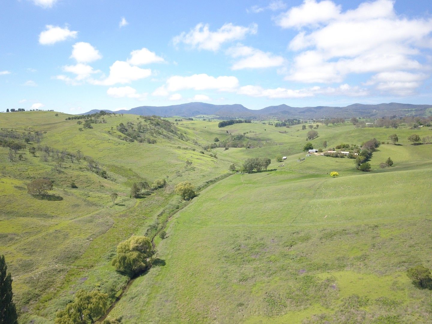 1834 Myrtle Mountain Road, Candelo NSW 2550, Image 0