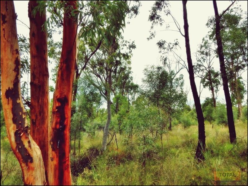 Condamine Farms QLD 4357 Vacant Land for Sale Domain